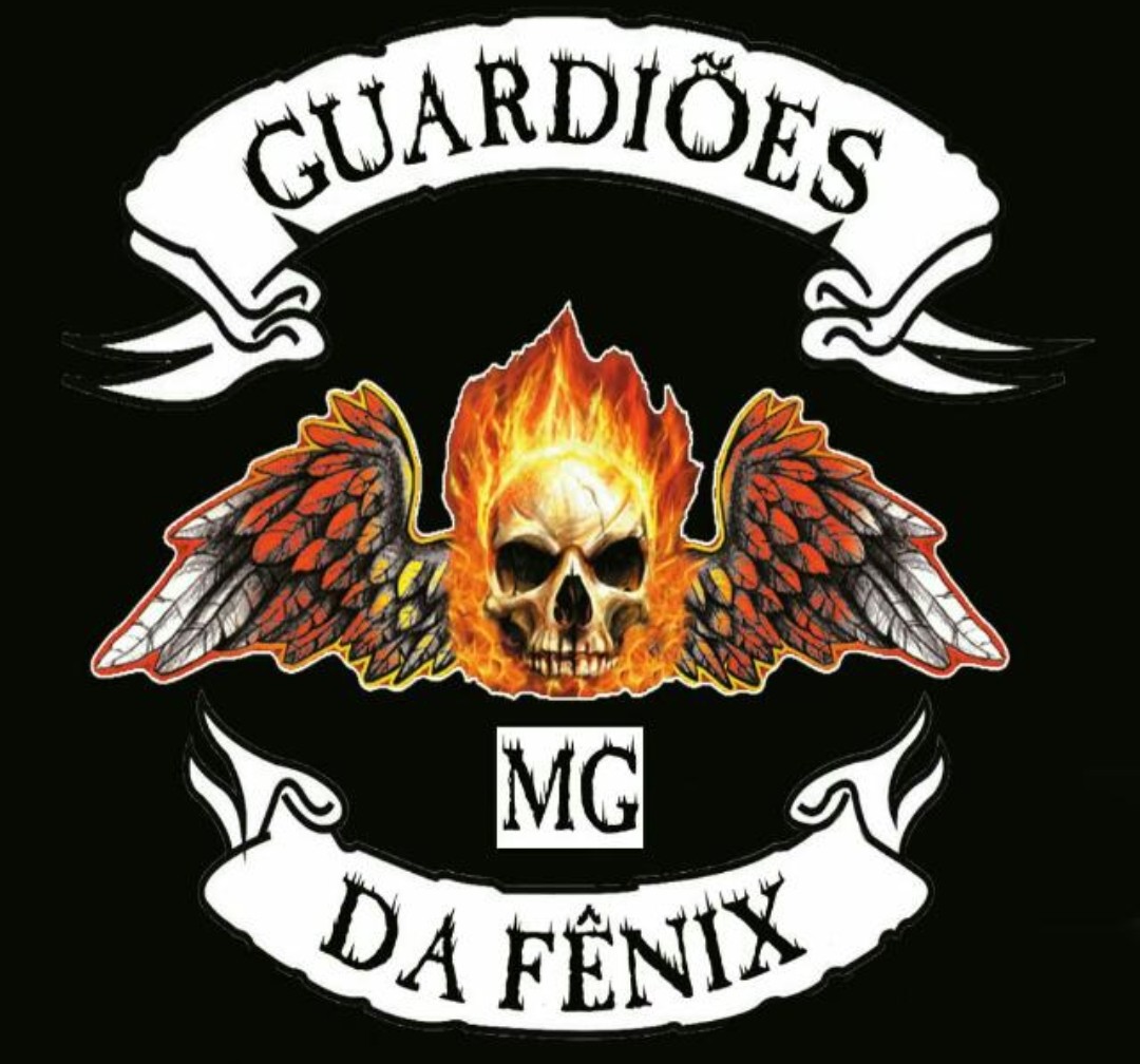 Guardiões da Fênix 